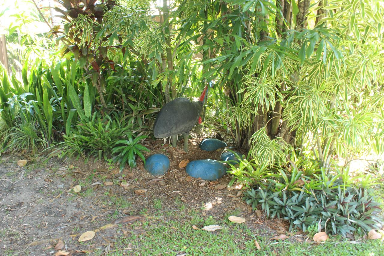 Dunk Island View Caravan Park Wongaling Beach Exterior foto